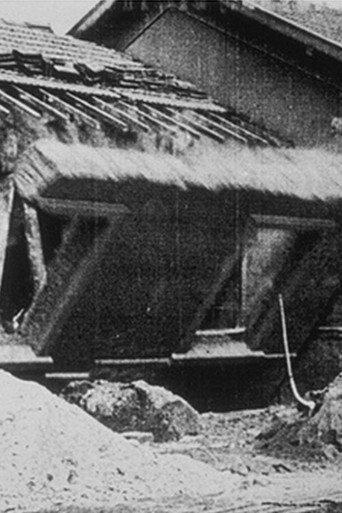 Demolition of a Wall, I (1896) poster
