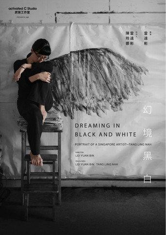 Dreaming in Black and White (2017) poster