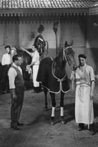 La mujer y el jockey (Hipódromo) (1939) poster