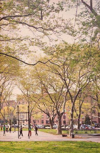 The Park (2017) poster