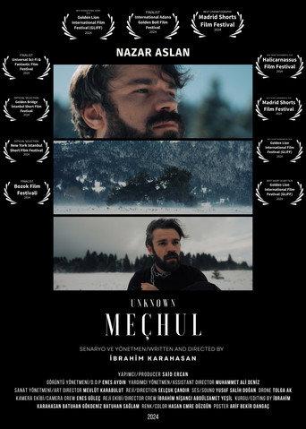 Meçhul () poster