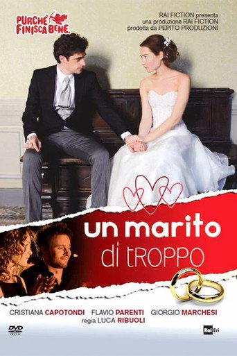 Un marito di troppo (2014) poster