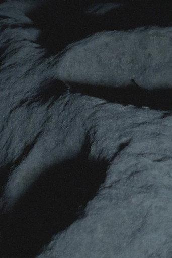 NIOBE (2023) poster
