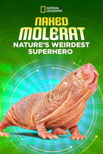Naked Molerat: Nature’s Weirdest Superhero (2018) poster
