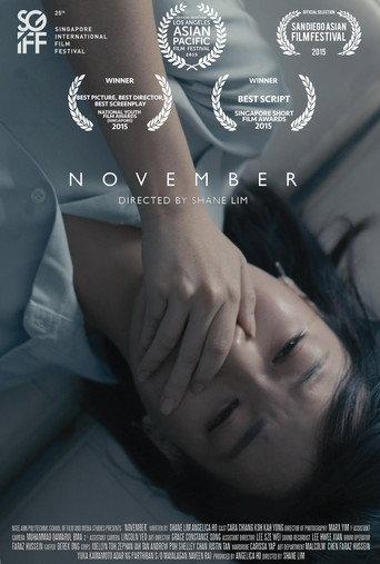 NOVEMBER (2014) poster