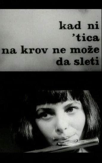 When Not Even a Bird Can Land on a Roof (1970) poster