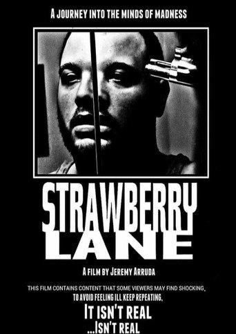 Strawberry Lane () poster