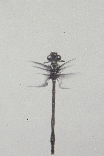 Dragonfly (1988) poster