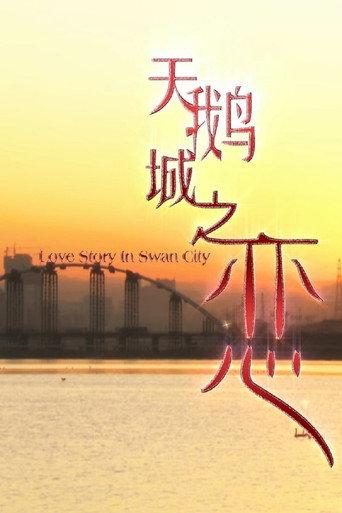 天鹅城之恋 (2011) poster