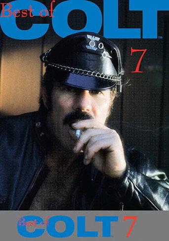 The Best of Colt Films: Part 7 (1987) poster