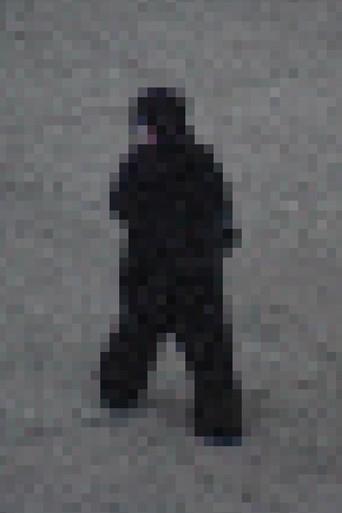 Gorilla Gorilla () poster