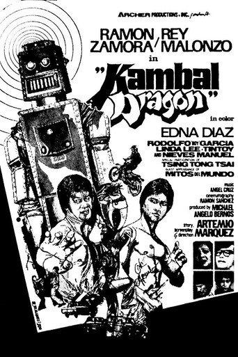 Kambal Dragon (1978) poster