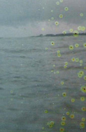 Film for Invisible Ink case no. 71: BASE-PLUS-FOG (2006) poster