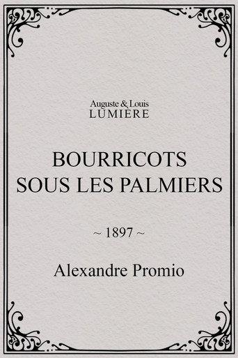 Bourricots sous les palmiers (1897) poster
