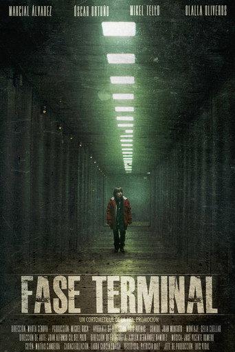 Terminal Phase (2011) poster