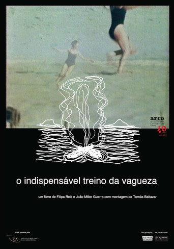 The Indispensable Practice of Vagueness (2014) poster