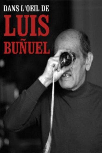 In the Eye of Luis Buñuel (2013) poster