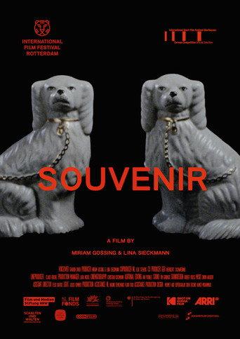 Souvenir (2019) poster