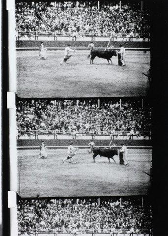 Corrida (1929) poster