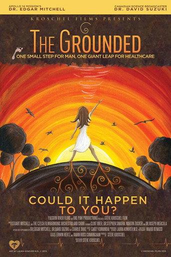 The Grounded (2013) poster