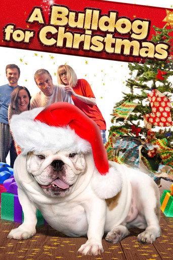 A Bulldog for Christmas (2013) poster