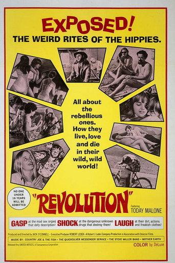 Revolution (1968) poster