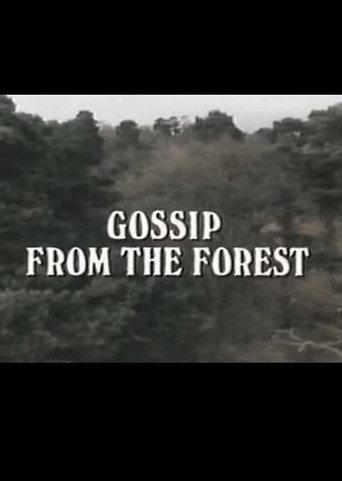 Gossip from the Forest (1979) poster