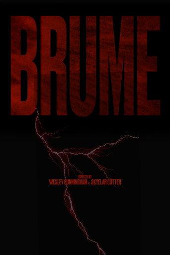BRUME () poster