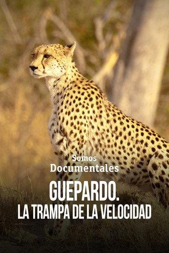 Cheetah – Speed Trap () poster