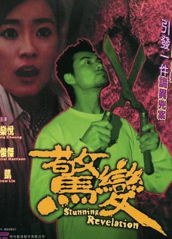 Stunning Revelation (2003) poster