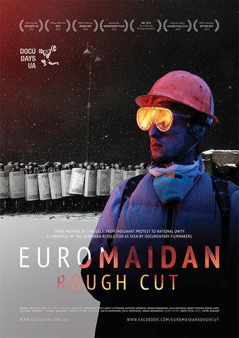 Euromaidan. Rough Cut (2014) poster