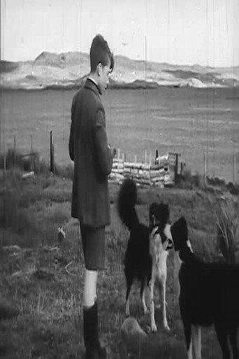 Crofter Boy () poster