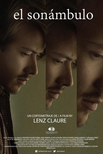 The Sleepwalker (2014) poster