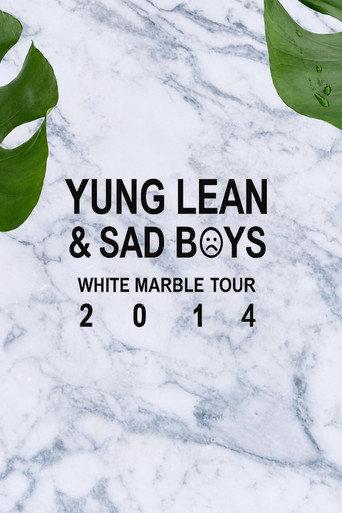 Sad Boys: White Marble Tour (2014) poster