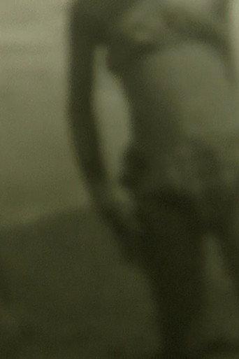 Apparitions (2013) poster