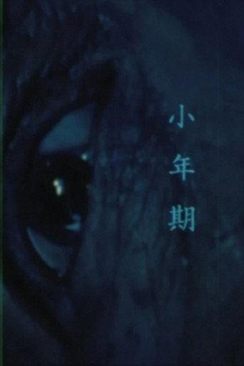 Brushing (1998) poster