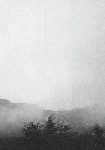 Mist (1972) poster