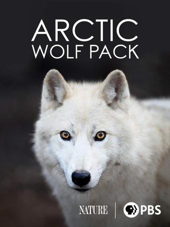 Nature: Arctic Wolf Pack () poster