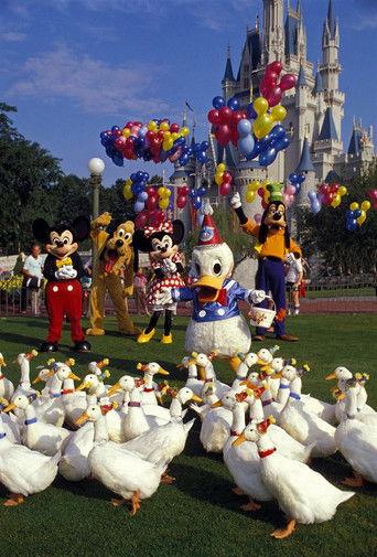 Donald Duck's 50th Birthday (1984) poster