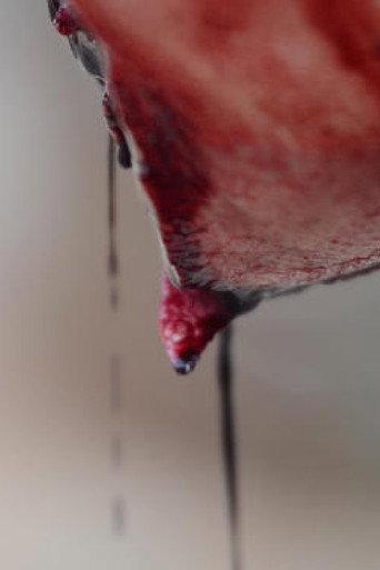 Meat (2018) poster