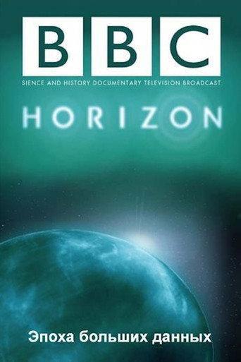 The Age of Big Data (2013) poster