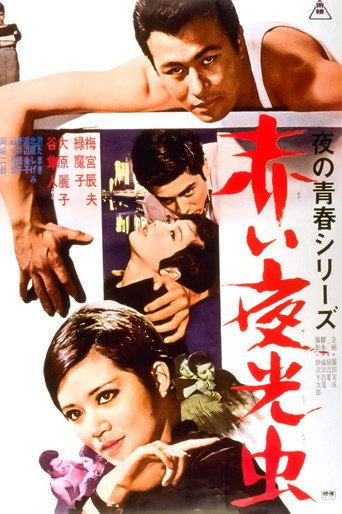 Nocturnal Lights (1966) poster
