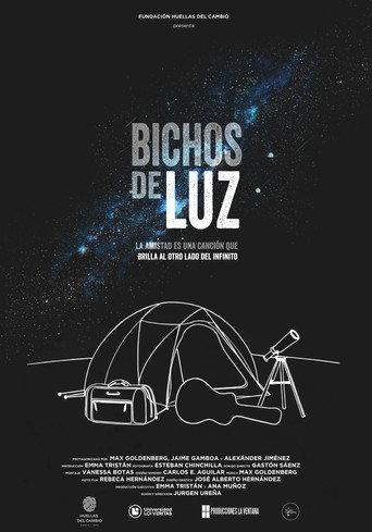Bugs of Light () poster