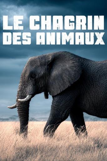 Le chagrin des animaux : mythe ou réalité ? (2025) poster
