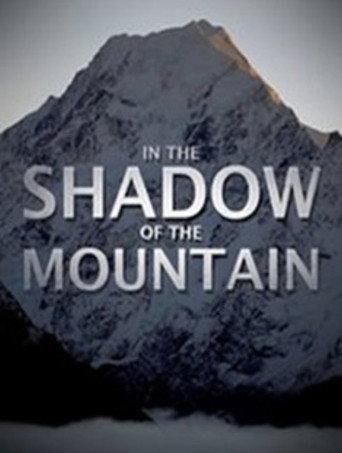 In the Shadow of the Mountain (2011) poster