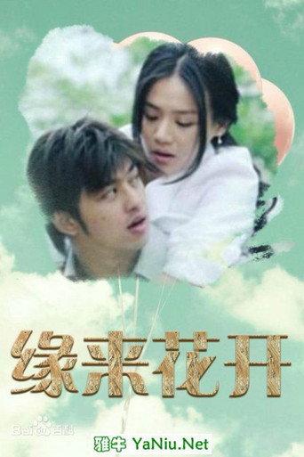 缘来花开 (2015) poster