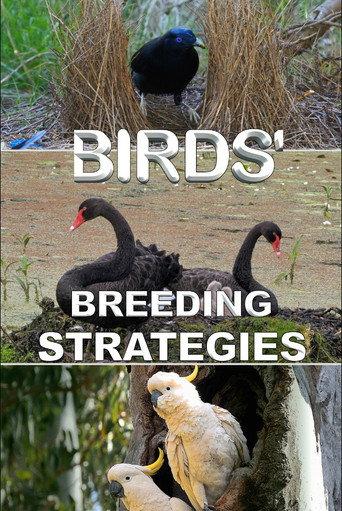 Birds' Breeding Strategies (2022) poster