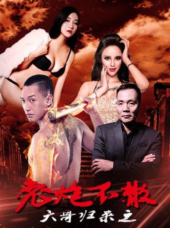 大哥归来之老炮不散 (2016) poster