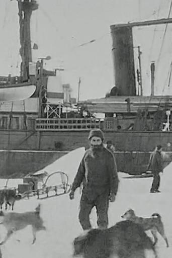 Baldwin-Ziegler North Pole Expedition (1910) poster