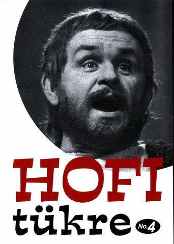 Hofi tükre No.4 (2005) poster
